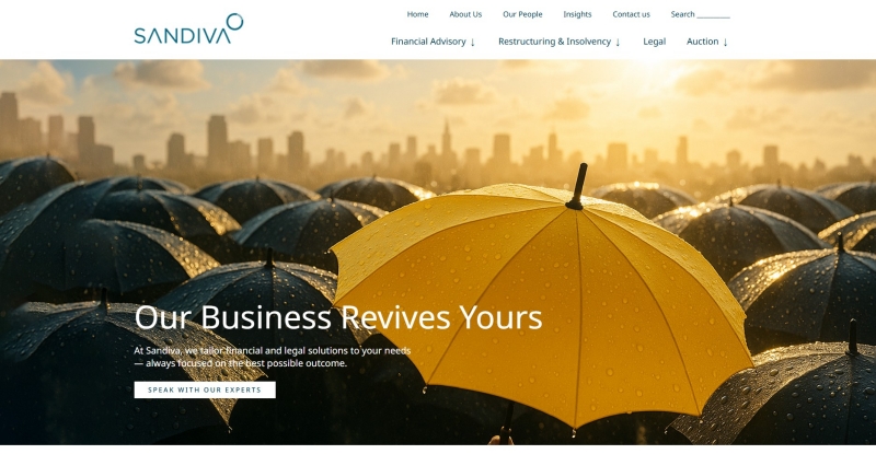 Sandiva: Business Consultant untuk Akselerasi Bisnis